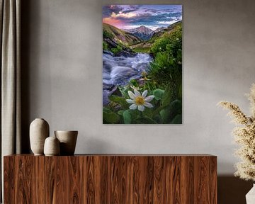 Beautiful San Juan Mountain Scenic Photo, Summer Wildflower Picture, Silverton Colorado Wall Art, Rocky Mountain Landscape Photography Print by Daniel Forster