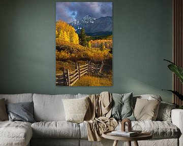 Wilson Peak Herbst Sonnenuntergang Foto - Colorado Rocky Mountains Bild, Aspen Wald Landschaft Wand Kunstdruck, Colorado Fotografie Drucke von Daniel Forster