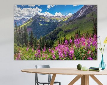 Colorado Scenic Landscape Print - Ice Lakes Basin Photo - Silverton Colorado Wall Art - Home Wall Decor - Wildflower Landscape Photography von Daniel Forster