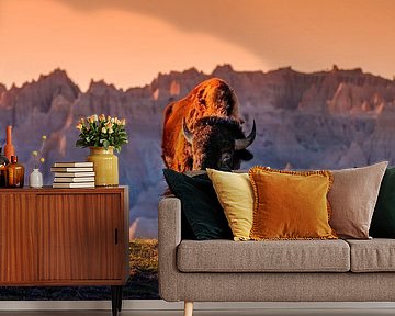 Bison in the South Dakota Badlands National Park - Sunset Wall Art Photo - Photo of American Buffalo - Wide Landscape Photography Print by Daniel Forster