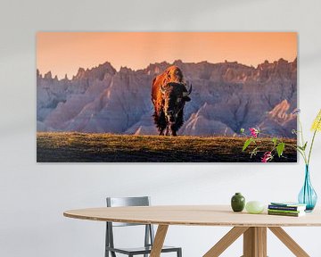 Bison in the South Dakota Badlands National Park - Sunset Wall Art Photo - Photo of American Buffalo - Wide Landscape Photography Print by Daniel Forster