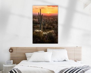 Arizona Desert Sunset Photo - Southwest Wall Decor - Cactus Photography Print - Beautiful Landscape Wall Art Home and Office Decor by Daniel Forster