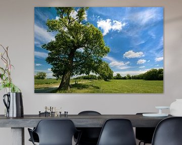 Tree and a blue sky.