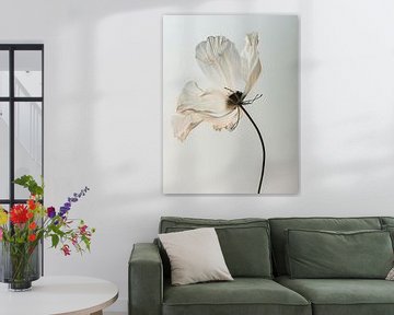 Amaryllis 2 by DNH Artful Living