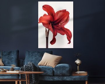 Amaryllis 4 sur DNH Artful Living