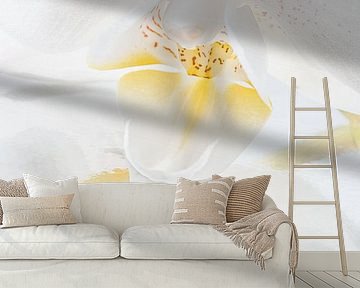 Een witte orchidee met een schilderachtige weerspiegeling van Marjolijn van den Berg