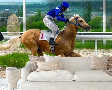 De finish van de paardenrace. van Mikhail Pogosov