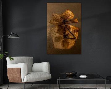 Golden still life with flowers: The hydrangea petal in the light