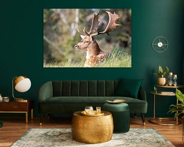 Deer in the Amsterdam Water Supply Dunes by Bopper Balten