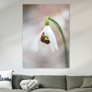 Jouer à cache-cache