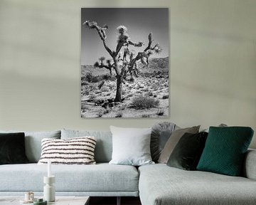 L'arbre de Joshua en noir et blanc sur Henk Meijer Photography