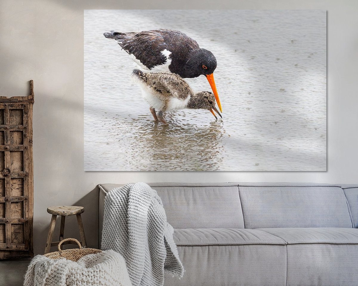 Voorbeeld van het werk in een kamer