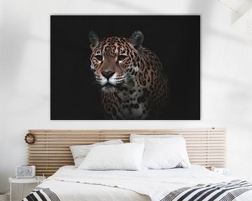 Jaguar Porträt von Elena ten Brink | FocusOnElena