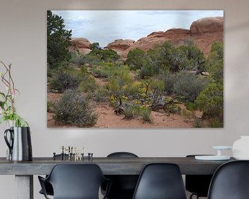 Arches National Park, von Bernard van Zwol