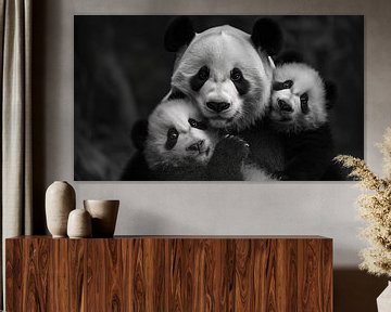 Panda familie panorama zwart-wit van The Xclusive Art