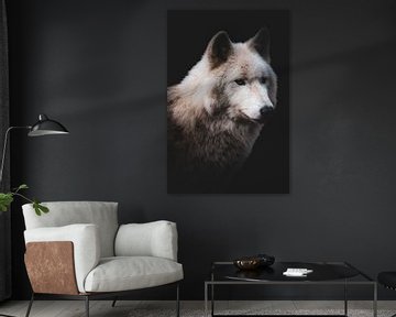 Le regard du loup | Portrait Wolf sur Elena ten Brink | FocusOnElena