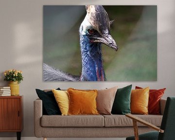 blauwe vogel