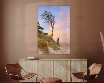 Tree on the Darßer Weststrand by Michael Valjak