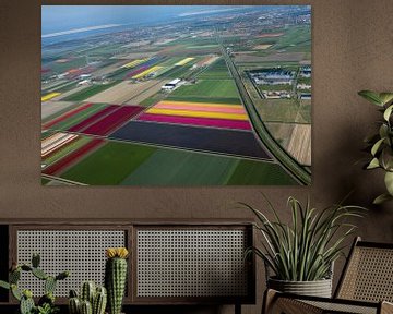 Bloemenvelden vanuit de lucht onder Den-Helder