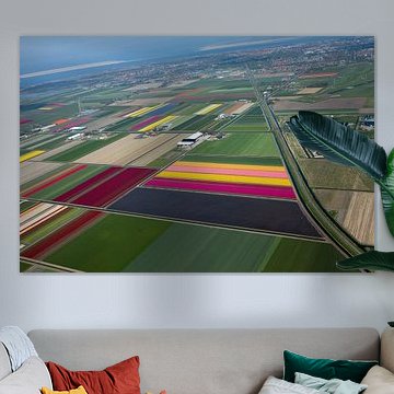 Flower Fields from the air under Den Helder