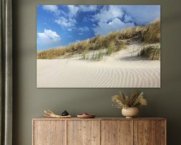 Les dunes de sable sur la mer du Nord à Texel