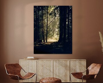 Tranquil forest van John Goossens Photography
