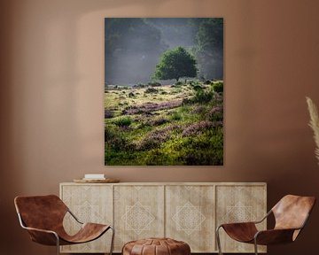 Entfernter Baum von John Goossens Photography