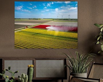 Tulpen, die von einer landwirtschaftlichen Sprinkleranlage von oben besprüht werden von Sjoerd van der Wal Fotografie