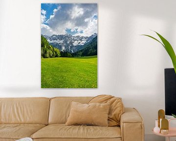 Uitzicht op alpendal tijdens de lente in de Alpen