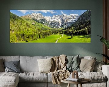 Vue aérienne de la vallée de Zgornje Jezersko au printemps sur Sjoerd van der Wal Photographie