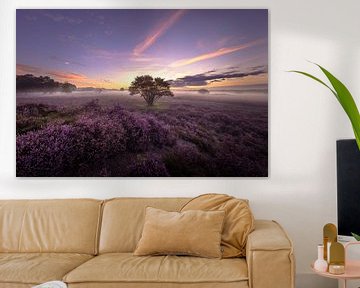 Die violette Landschaft in Het Gooi von Andy Luberti