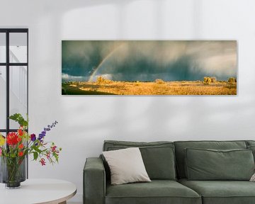 Rainbow over the river IJssel by Sjoerd van der Wal Photography