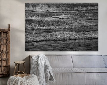 Low polderland