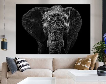 Éléphant noir et blanc sur Nicolette Suijkerbuijk Fotografie