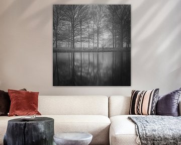 A fence among the trees in a misty landscape