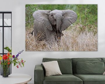 Jonge olifant in het gras - Wilde dieren in Afrika van W. Woyke