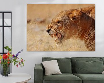Vervelende leeuwin - Wilde dieren in Afrika van W. Woyke