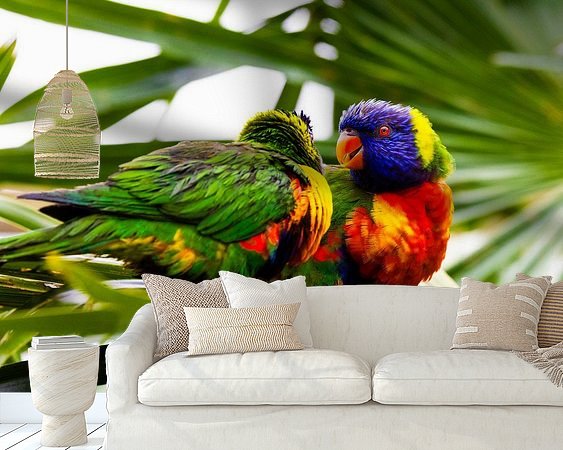 Aperçu de la chambre