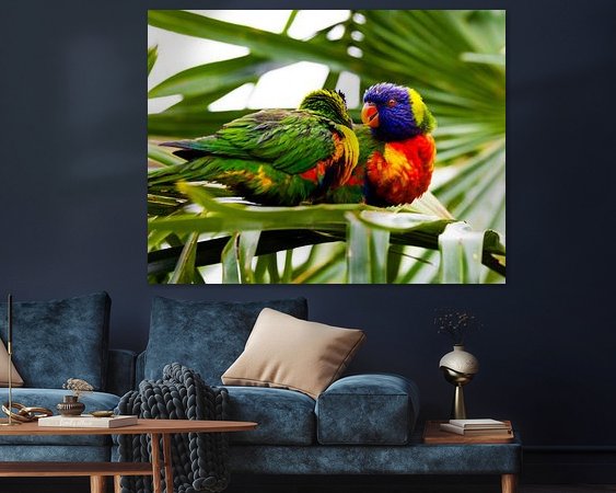 Aperçu de la chambre