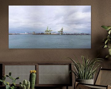 Maasvlakte industry views container cranes by Bopper Balten