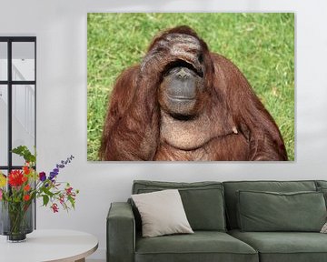 Orang Utan im Sinn. von Jose Lok