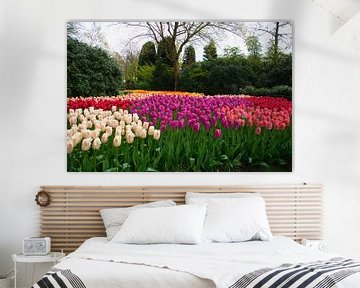 Champ de tulipes à Keukenhof sur Elbertsen Fotografie