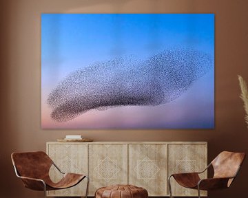 Starling murmuration in the sky during sunset by Sjoerd van der Wal Photography