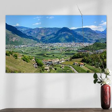 Gezicht op Bolzano in de lente van Gisela Scheffbuch