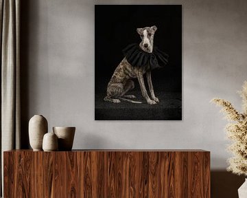 Whippet with black collar by Laura Loeve