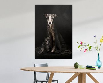 Whippet with scarf by Laura Loeve