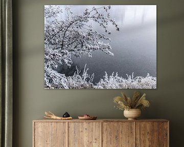 Il a gelé dur, du givre blanc sur les branches au-dessus d'un sol glacé sur Jan Willem de Groot Photography