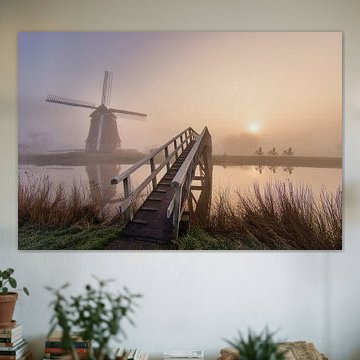 3 scholieren in de mist