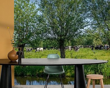 Koeien in Het Groene Hart van Nederland van Hanneke Luit