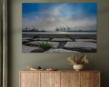 Gezicht op de haven van Hamburg, kasseien op de voorgrond van Andrea Gaitanides - Fotografie mit Leidenschaft
